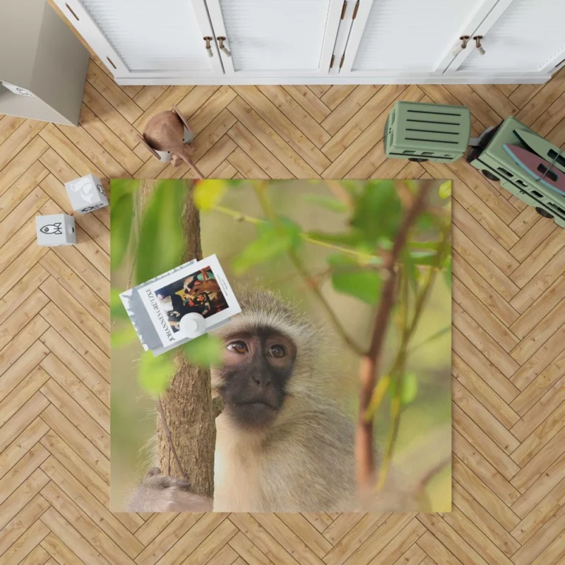 Playful Monkey Wild Antics Unleashed Rug