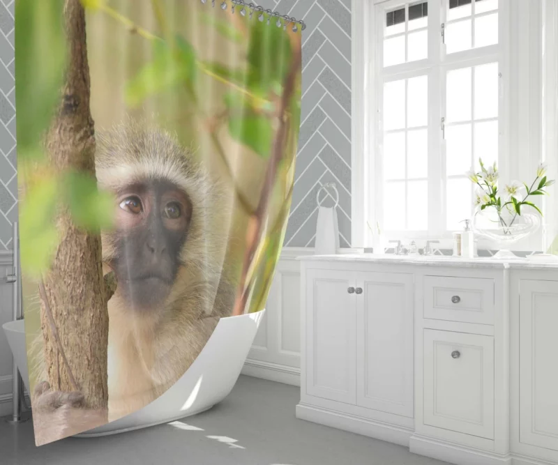 Playful Monkey Wild Antics Unleashed Shower Curtain 1