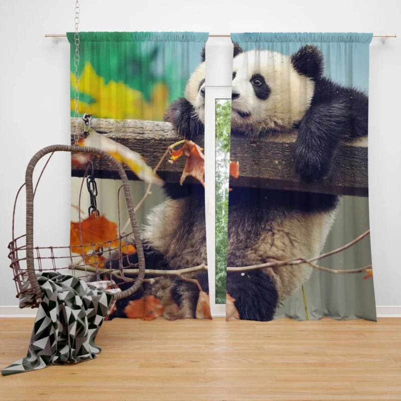 Playful Panda Cub Fall Adventure Curtain