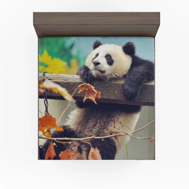 Playful Panda Cub Fall Adventure Fitted Sheet 1