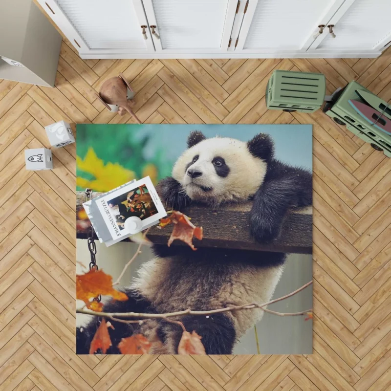 Playful Panda Cub Fall Adventure Rug