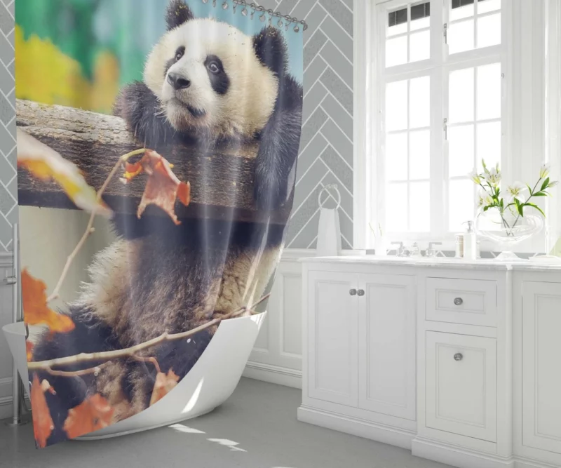 Playful Panda Cub Fall Adventure Shower Curtain 1