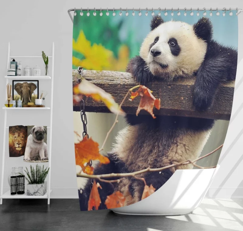 Playful Panda Cub Fall Adventure Shower Curtain