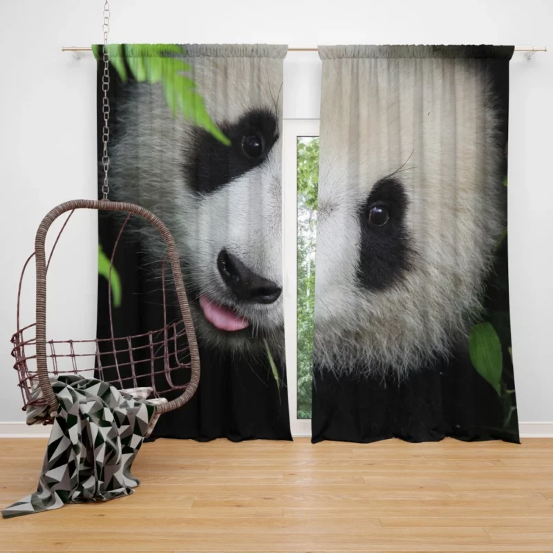 Playful Panda Nature Delight Curtain