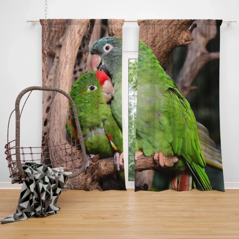 Playful Parrots on a Perch Curtain