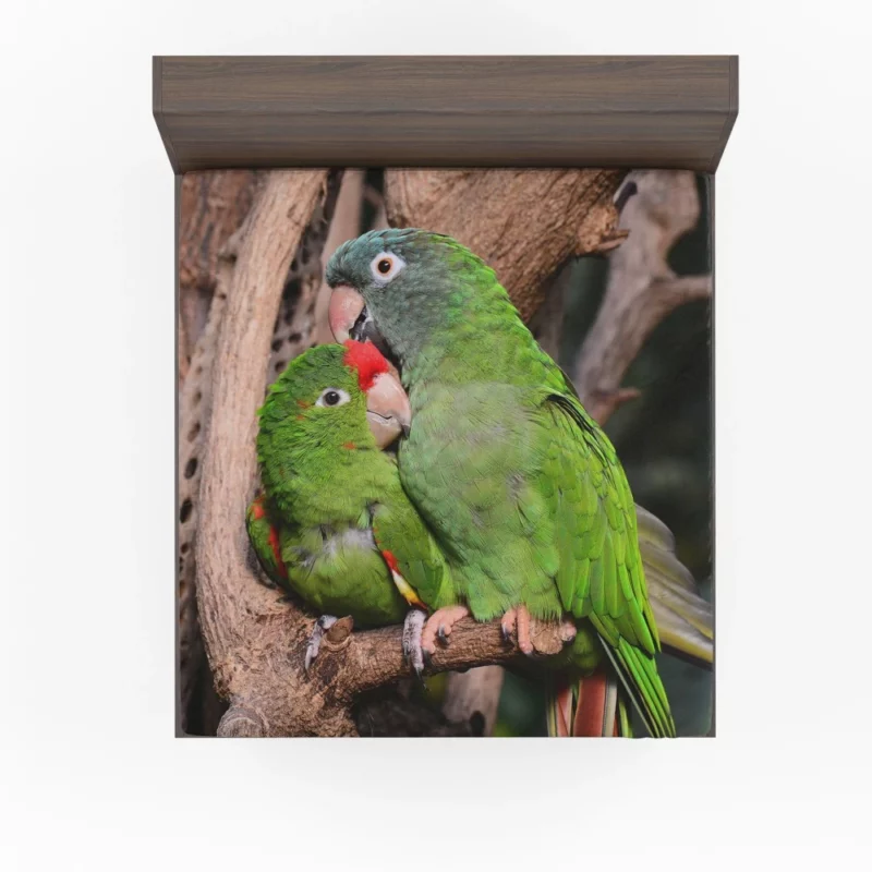 Playful Parrots on a Perch Fitted Sheet 1