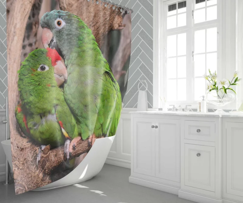 Playful Parrots on a Perch Shower Curtain 1