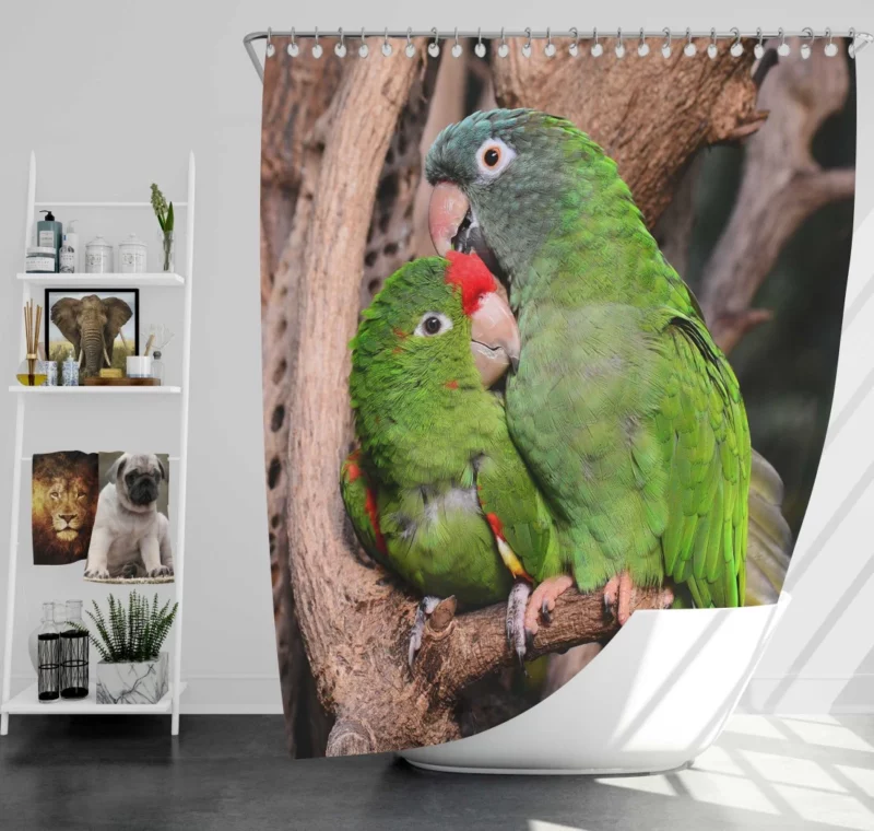 Playful Parrots on a Perch Shower Curtain