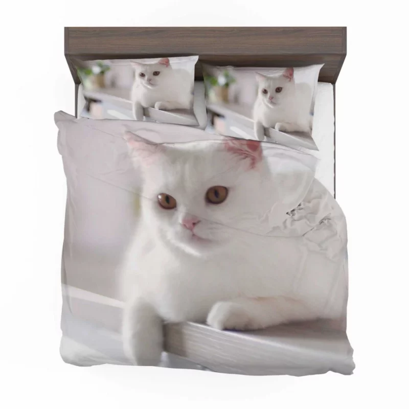 Playful Prowess Curious Cat Whiskers Bedding Set 1