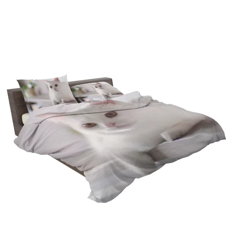 Playful Prowess Curious Cat Whiskers Bedding Set 2