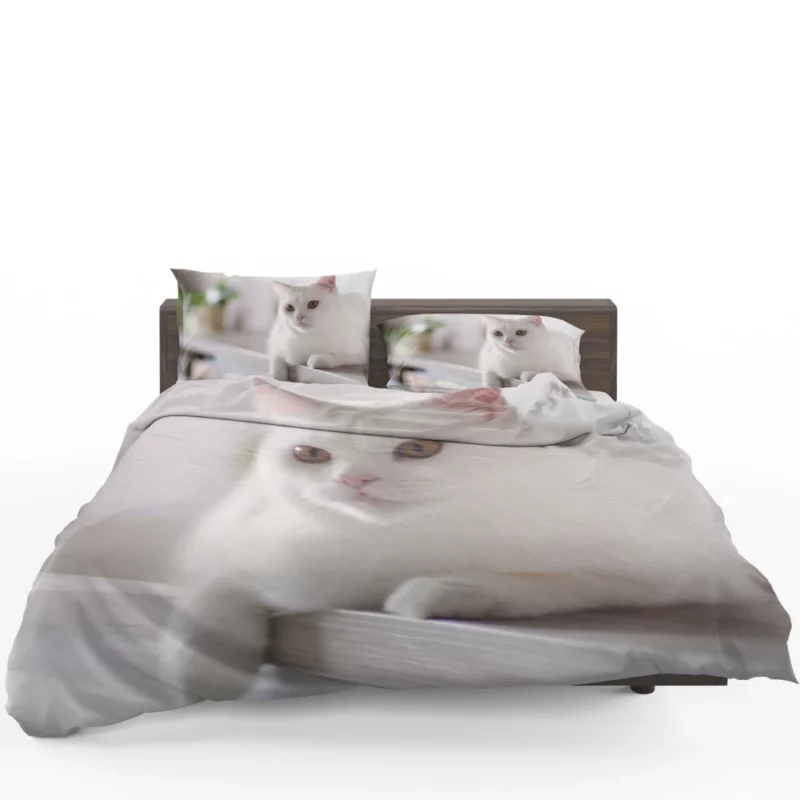 Playful Prowess Curious Cat Whiskers Bedding Set