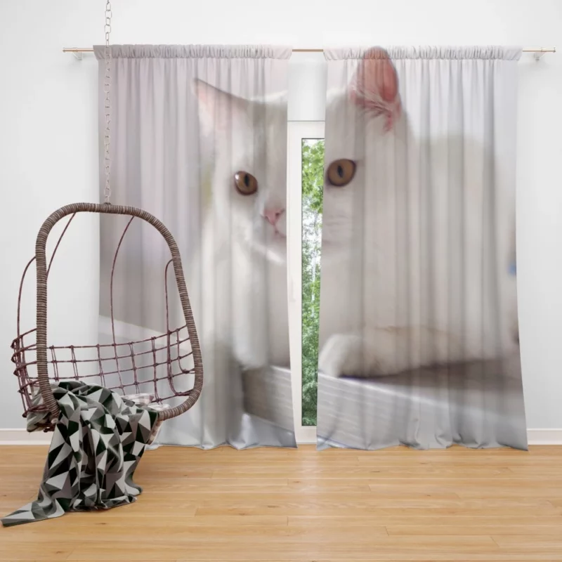 Playful Prowess Curious Cat Whiskers Curtain