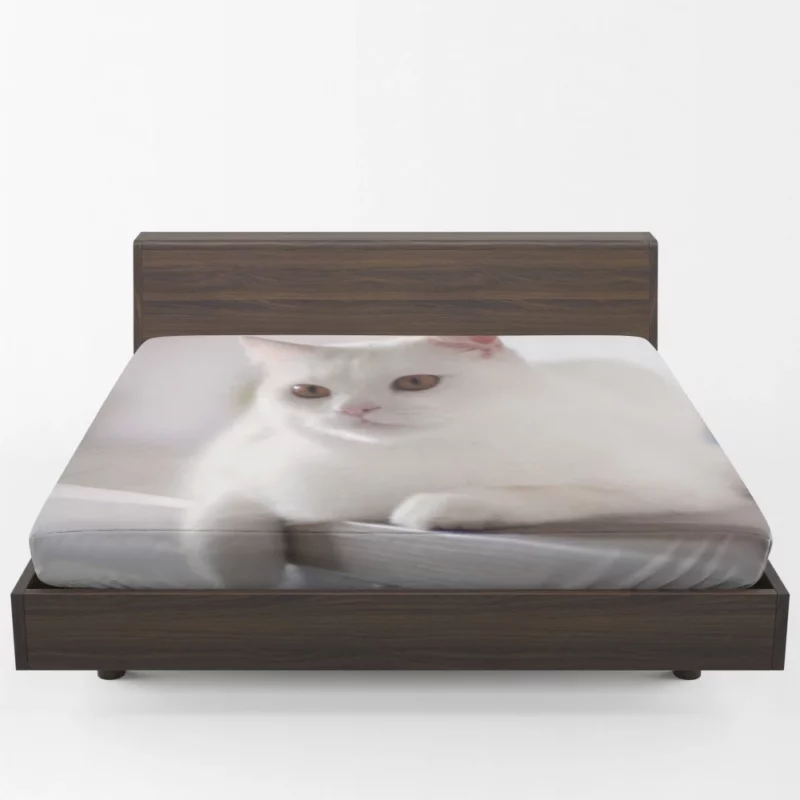 Playful Prowess Curious Cat Whiskers Fitted Sheet