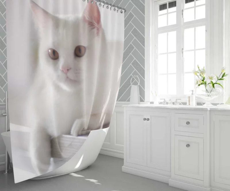 Playful Prowess Curious Cat Whiskers Shower Curtain 1