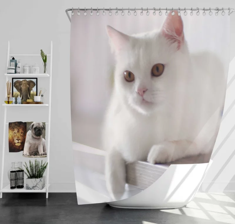 Playful Prowess Curious Cat Whiskers Shower Curtain