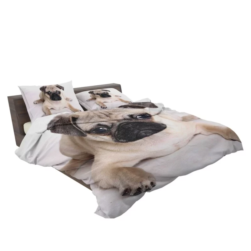 Playful Pug Adorable Companion Bedding Set 2