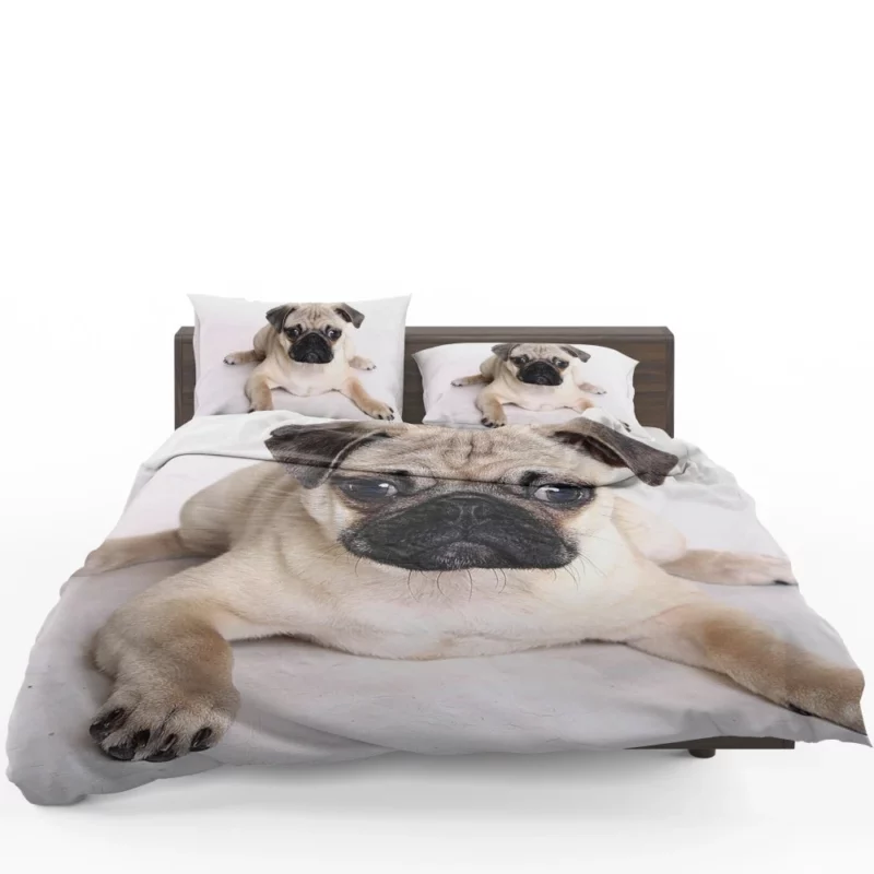 Playful Pug Adorable Companion Bedding Set