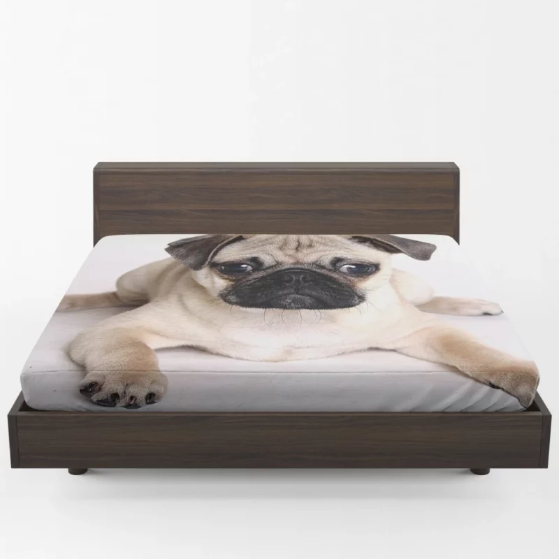 Playful Pug Adorable Companion Fitted Sheet