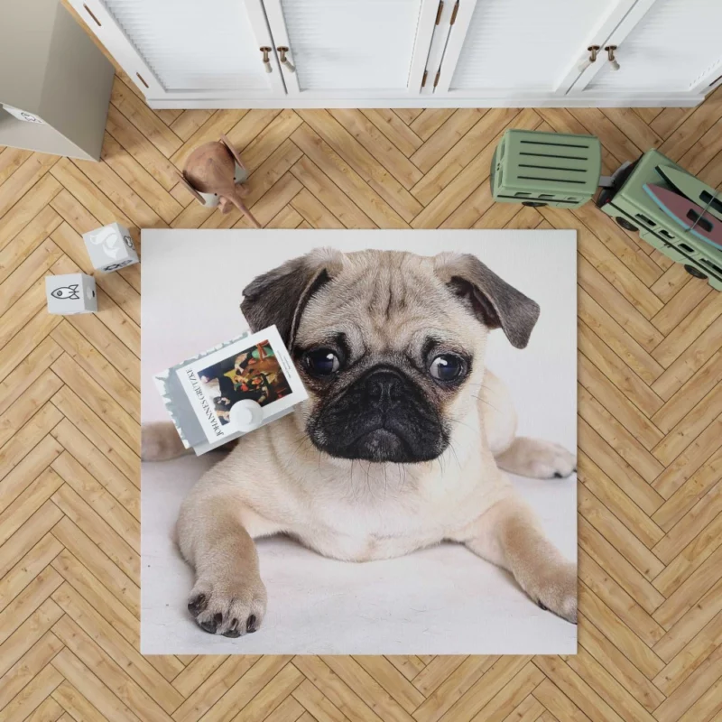 Playful Pug Adorable Companion Rug