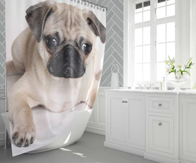 Playful Pug Adorable Companion Shower Curtain 1