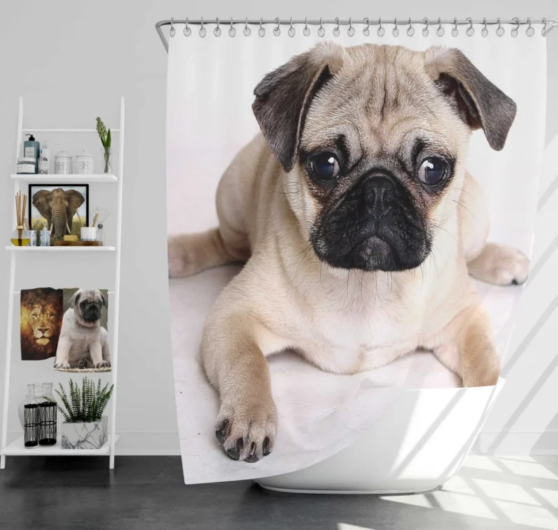 Playful Pug Adorable Companion Shower Curtain