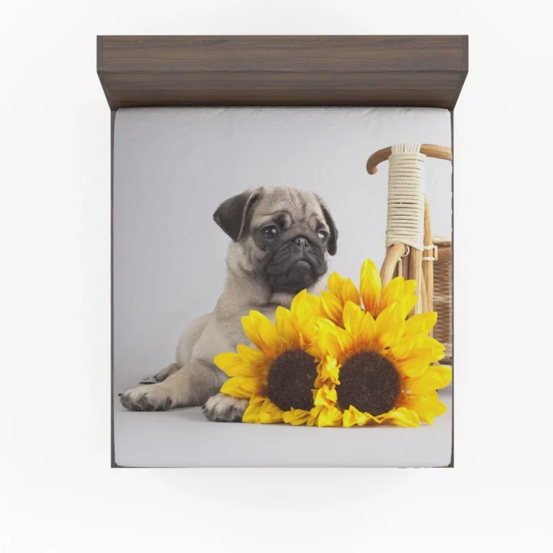 Playful Pug Antics of Adorable Moments Fitted Sheet 1