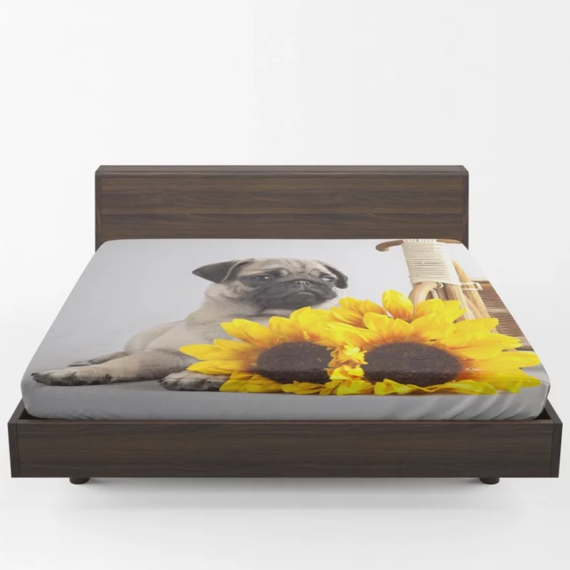 Playful Pug Antics of Adorable Moments Fitted Sheet