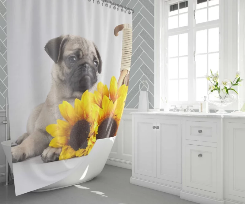 Playful Pug Antics of Adorable Moments Shower Curtain 1