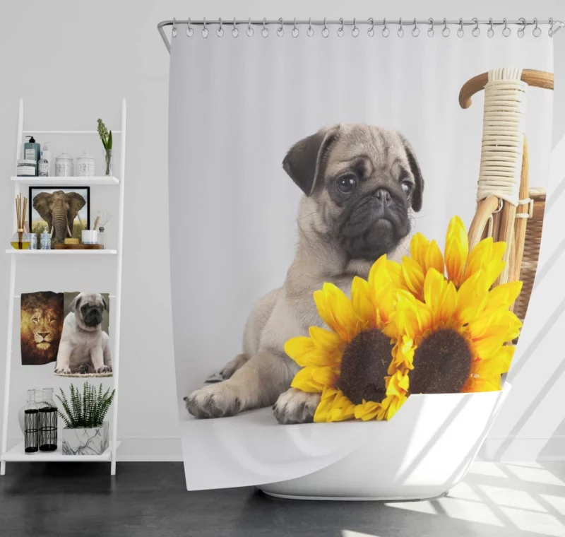 Playful Pug Antics of Adorable Moments Shower Curtain