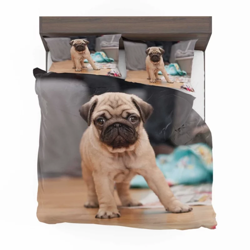 Playful Pug Bedding Set 1