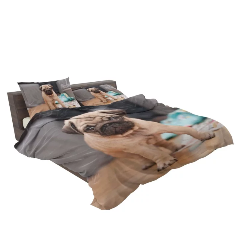 Playful Pug Bedding Set 2