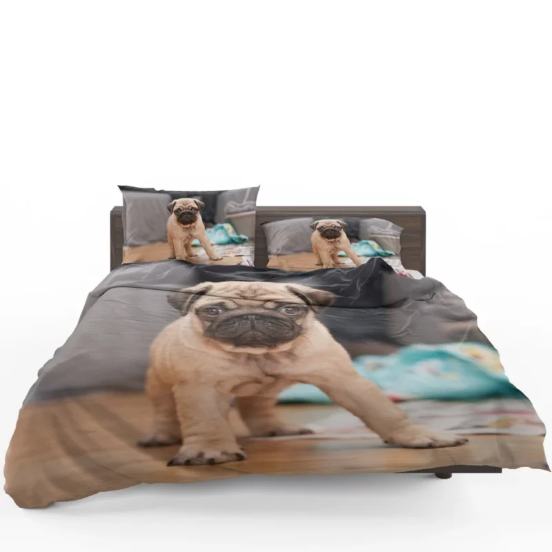 Playful Pug Bedding Set