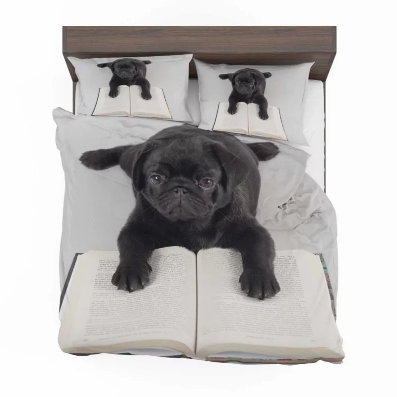 Playful Pug Charm Bedding Set 1