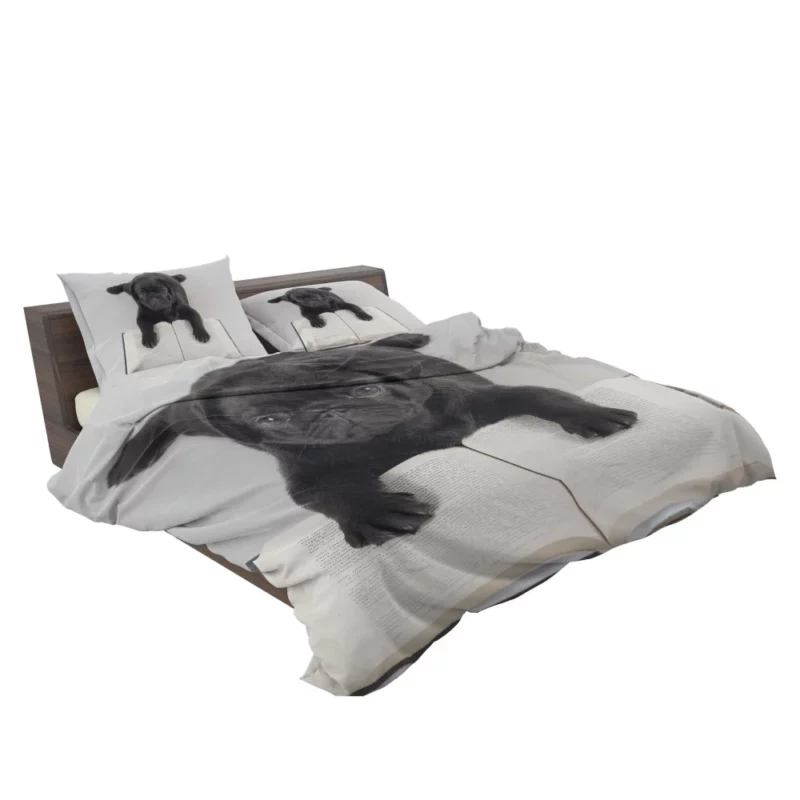 Playful Pug Charm Bedding Set 2