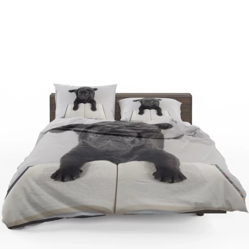 Playful Pug Charm Bedding Set