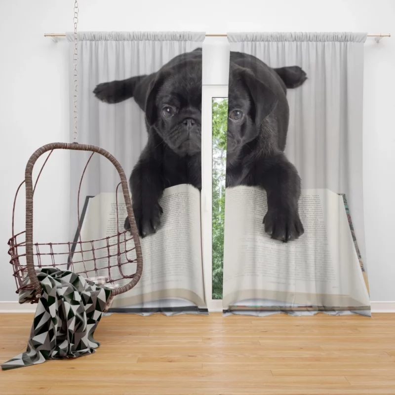 Playful Pug Charm Curtain