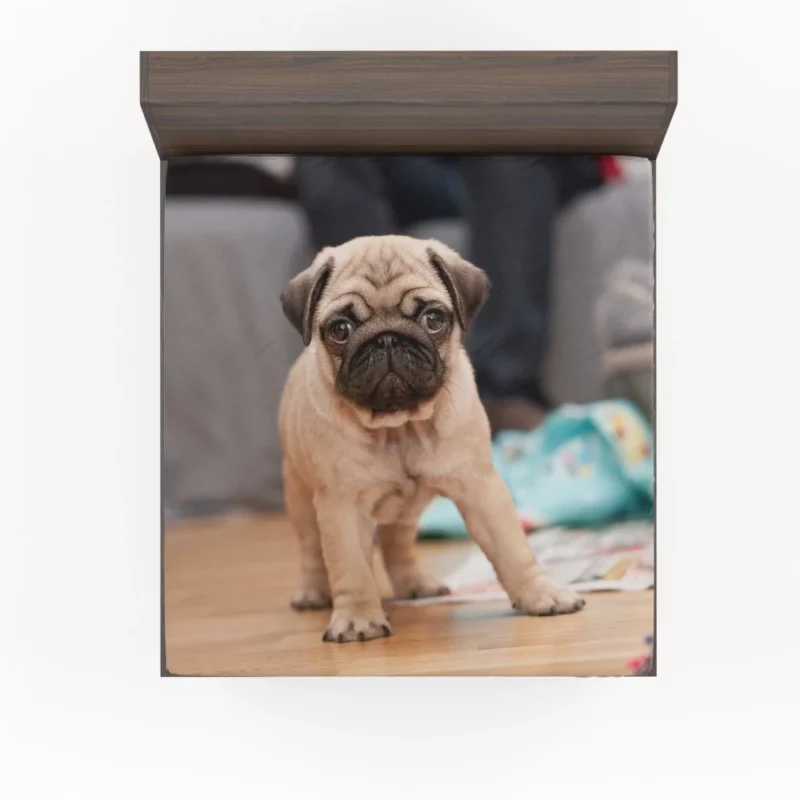 Playful Pug Fitted Sheet 1