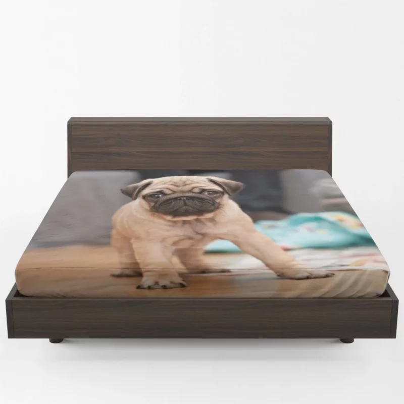 Playful Pug Fitted Sheet