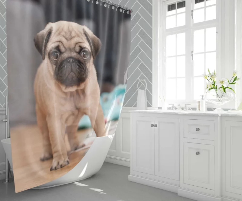 Playful Pug Shower Curtain 1