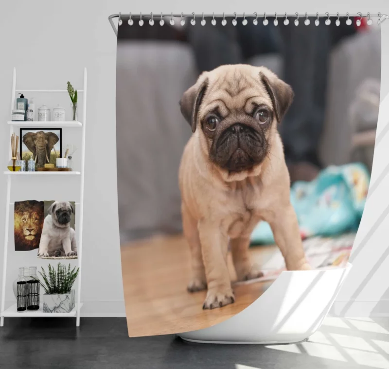 Playful Pug Shower Curtain