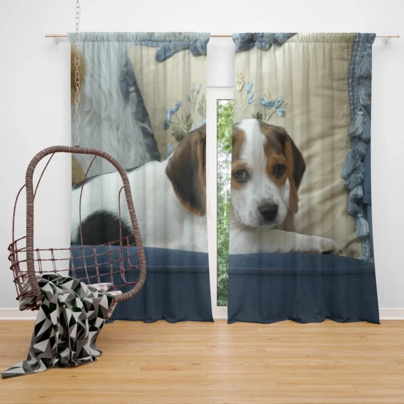 Playful Puppy Canine Joy Unveiled Curtain