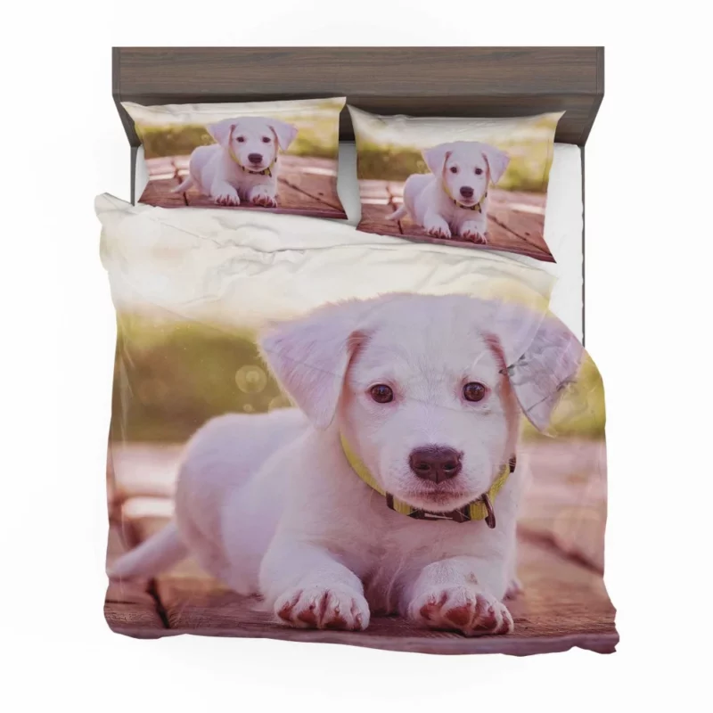 Playful Puppy Charming Innocence Bedding Set 1