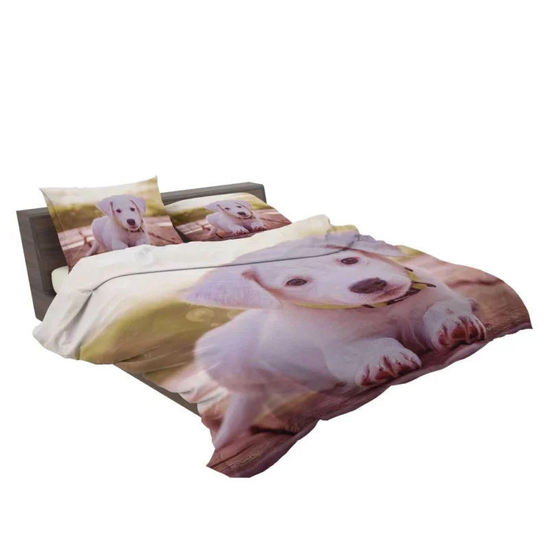 Playful Puppy Charming Innocence Bedding Set 2