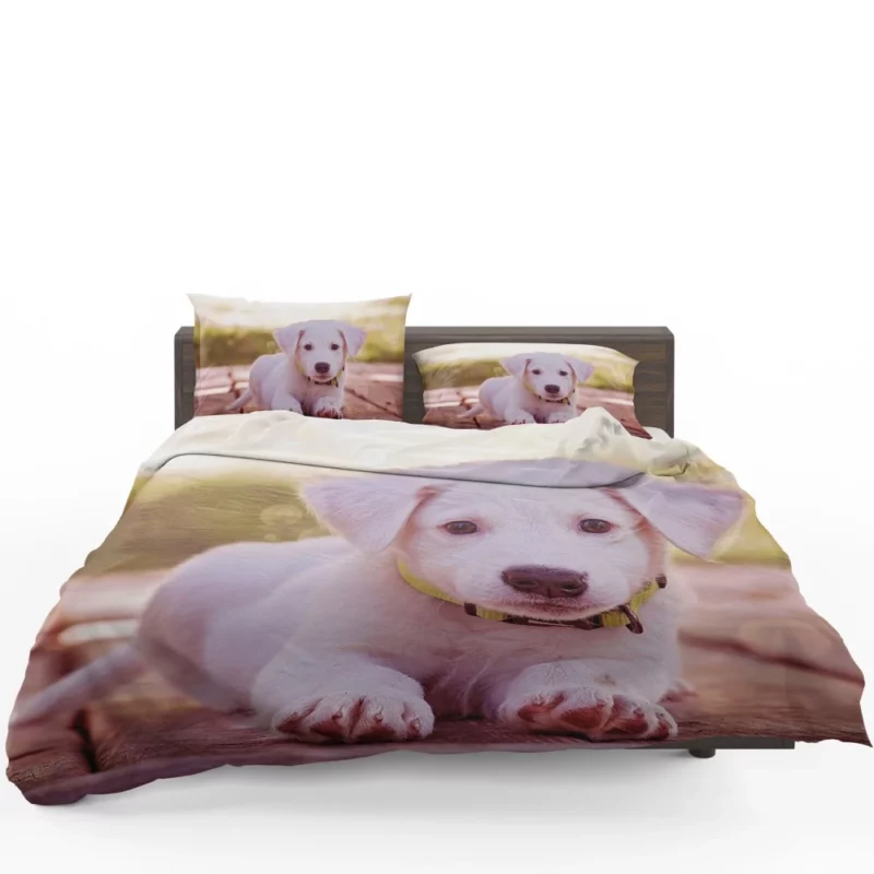 Playful Puppy Charming Innocence Bedding Set