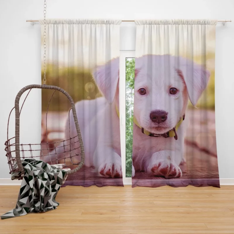 Playful Puppy Charming Innocence Curtain