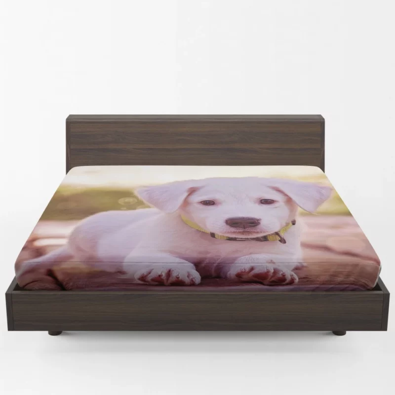 Playful Puppy Charming Innocence Fitted Sheet