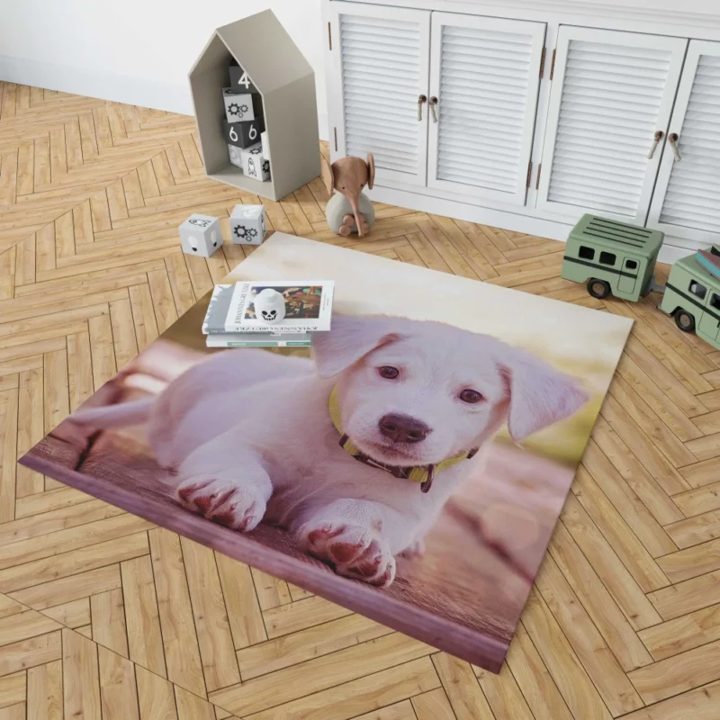 Playful Puppy Charming Innocence Rug 1