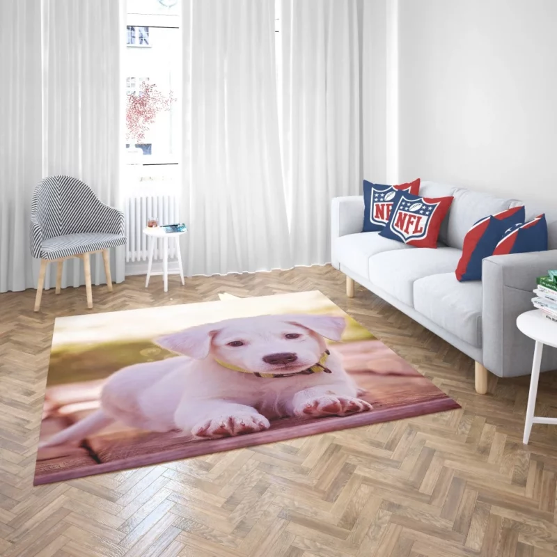 Playful Puppy Charming Innocence Rug 2