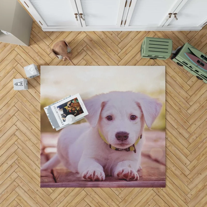 Playful Puppy Charming Innocence Rug