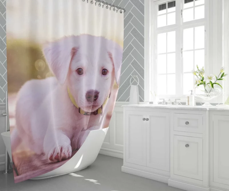 Playful Puppy Charming Innocence Shower Curtain 1